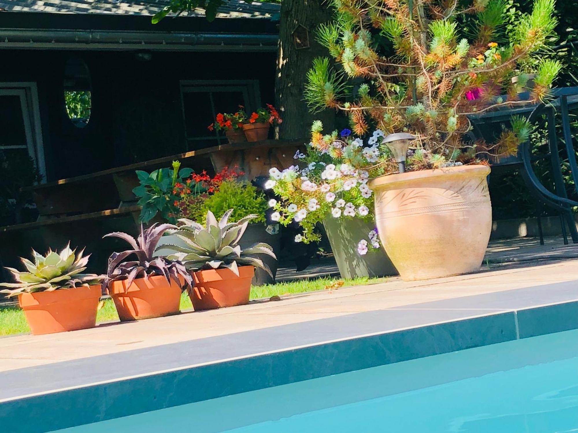 مبيت وإفطار B &B Yuupke Maasbree Noord-Limburg Venlo Roermond المظهر الخارجي الصورة