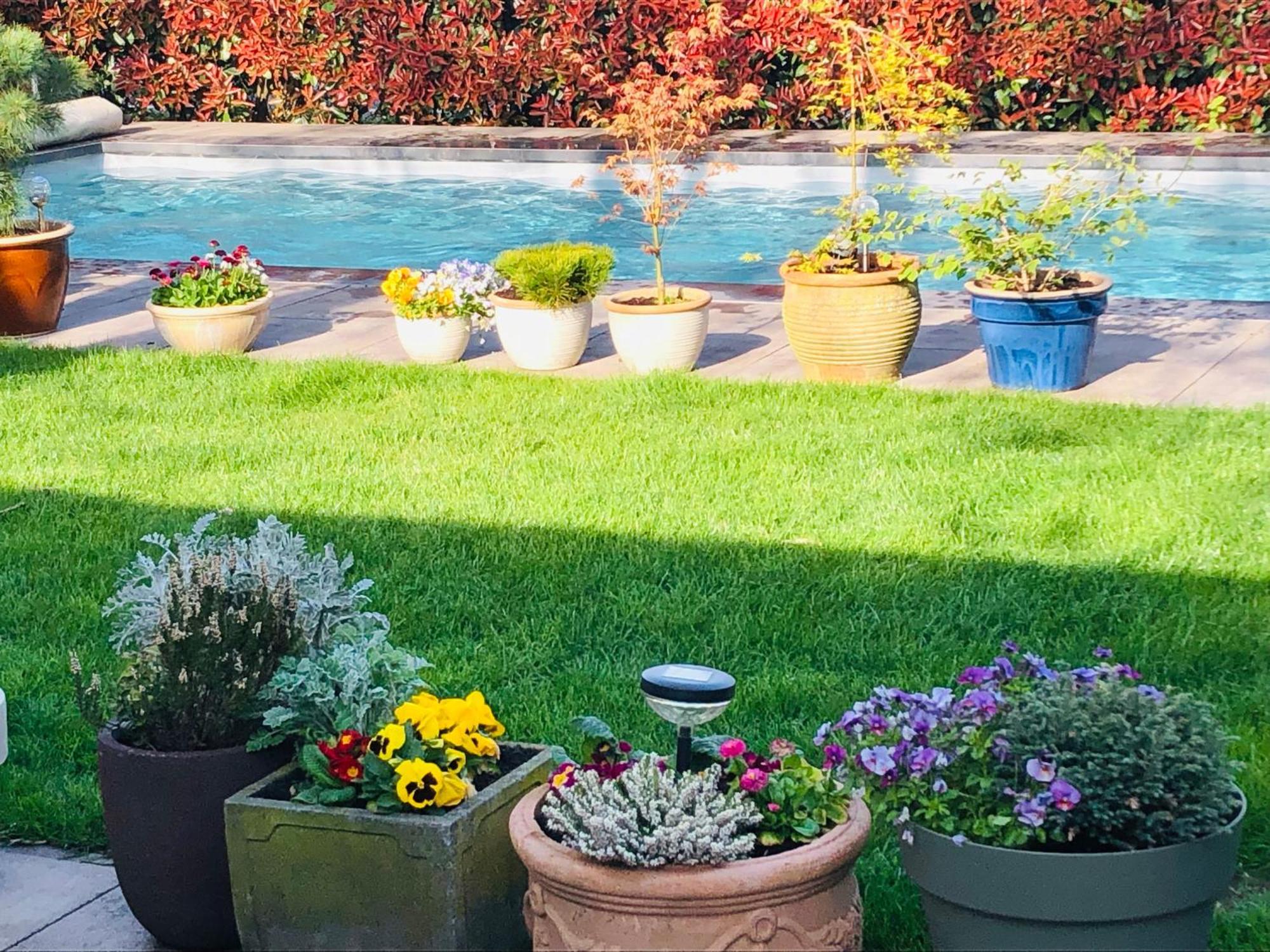 مبيت وإفطار B &B Yuupke Maasbree Noord-Limburg Venlo Roermond المظهر الخارجي الصورة